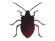 Bug-icon.png