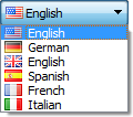 ctkLanguageComboBox A combobox to select a language.