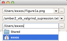 ctkPathLineEdit An auto-complete line edit to pick file path and remember history.