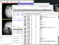 Thumbnail for version as of 05:48, 8 November 2013