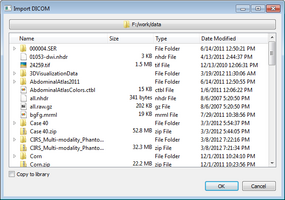 ctkDICOMImportWidget Panel to select a directory containing DICOM files on a local file system.